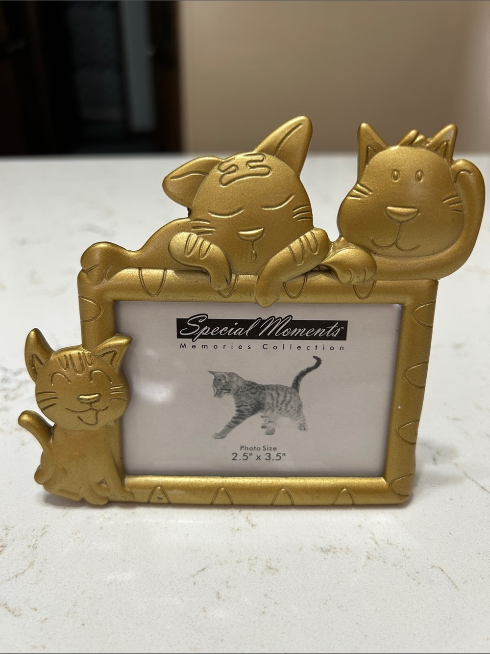 Special Moments Gold Cat Trio Photo Frame